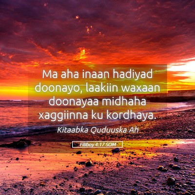 Picture 05 - Filiboy 4:17 SOM - Ma aha inaan hadiyad doonayo, laakiin waxaan - Bible Verse Picture