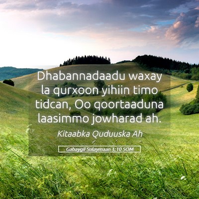 Picture 05 - Gabaygii Sulaymaan 1:10 SOM - Dhabannadaadu waxay la qurxoon yihiin timo - Bible Verse Picture