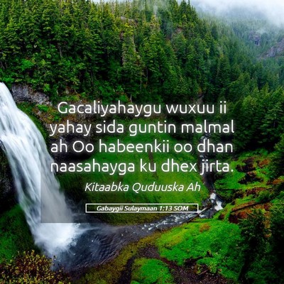 Picture 05 - Gabaygii Sulaymaan 1:13 SOM - Gacaliyahaygu wuxuu ii yahay sida guntin malmal - Bible Verse Picture