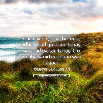 Picture 05 - Gabaygii Sulaymaan 1:16 SOM - Gacaliyahaygow, bal eeg, adba waad qurxoon tahay, - Bible Verse Picture