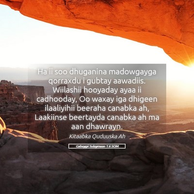 Picture 05 - Gabaygii Sulaymaan 1:6 SOM - Ha ii soo dhuganina madowgayga qorraxdu i gubtay - Bible Verse Picture