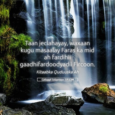 Picture 05 - Gabaygii Sulaymaan 1:9 SOM - Taan jeclahayay, waxaan kugu masaalay Faras ka - Bible Verse Picture