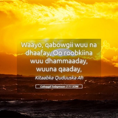 Picture 05 - Gabaygii Sulaymaan 2:11 SOM - Waayo, qabowgii wuu na dhaafay, Oo roobkiina wuu - Bible Verse Picture