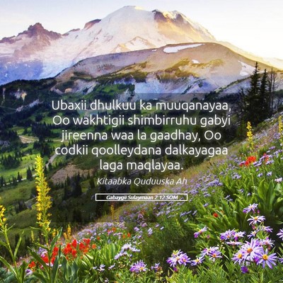 Picture 05 - Gabaygii Sulaymaan 2:12 SOM - Ubaxii dhulkuu ka muuqanayaa, Oo wakhtigii - Bible Verse Picture