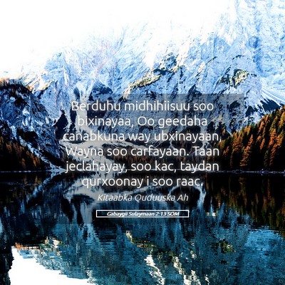 Picture 05 - Gabaygii Sulaymaan 2:13 SOM - Berduhu midhihiisuu soo bixinayaa, Oo geedaha - Bible Verse Picture