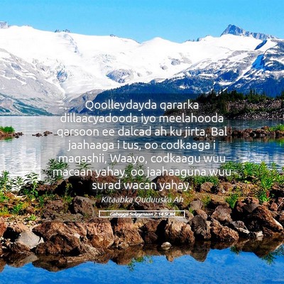 Picture 05 - Gabaygii Sulaymaan 2:14 SOM - Qoolleydayda qararka dillaacyadooda iyo - Bible Verse Picture