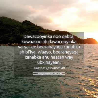 Picture 05 - Gabaygii Sulaymaan 2:15 SOM - Dawacooyinka noo qabta, kuwaasoo ah dawacooyinka - Bible Verse Picture