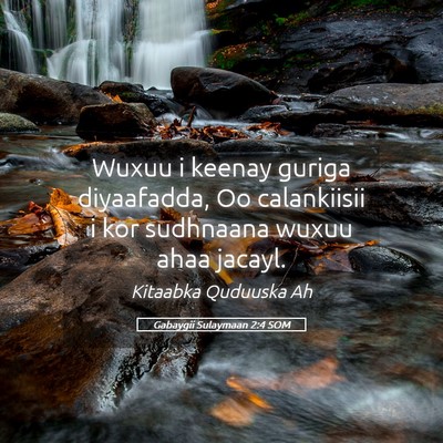 Picture 05 - Gabaygii Sulaymaan 2:4 SOM - Wuxuu i keenay guriga diyaafadda, Oo calankiisii - Bible Verse Picture