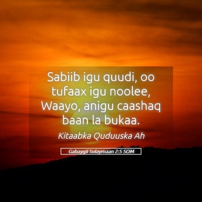 Picture 05 - Gabaygii Sulaymaan 2:5 SOM - Sabiib igu quudi, oo tufaax igu noolee, Waayo, - Bible Verse Picture