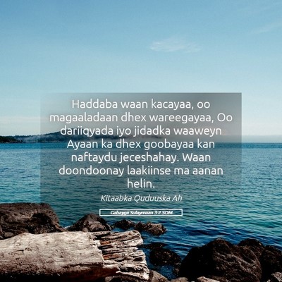 Picture 05 - Gabaygii Sulaymaan 3:2 SOM - Haddaba waan kacayaa, oo magaaladaan dhex - Bible Verse Picture