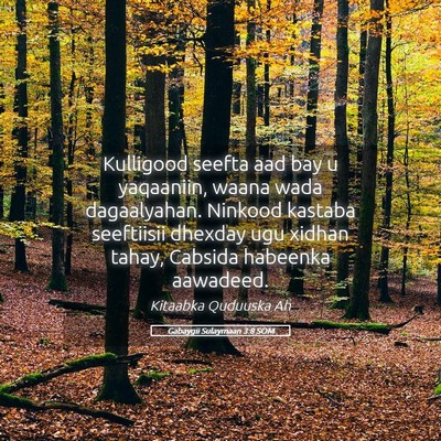 Picture 05 - Gabaygii Sulaymaan 3:8 SOM - Kulligood seefta aad bay u yaqaaniin, waana wada - Bible Verse Picture