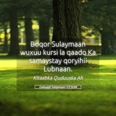 Picture 05 - Gabaygii Sulaymaan 3:9 SOM - Boqor Sulaymaan wuxuu kursi la qaado Ka samaystay - Bible Verse Picture