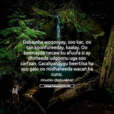 Picture 05 - Gabaygii Sulaymaan 4:16 SOM - Dabaysha woqooyay, soo kac, oo tan koonfureeday, - Bible Verse Picture