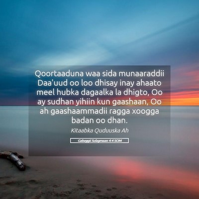 Picture 05 - Gabaygii Sulaymaan 4:4 SOM - Qoortaaduna waa sida munaaraddii Daa'uud oo loo - Bible Verse Picture
