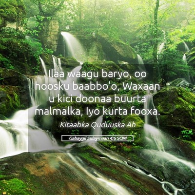 Picture 05 - Gabaygii Sulaymaan 4:6 SOM - Ilaa waagu baryo, oo hoosku baabbo'o, Waxaan u - Bible Verse Picture