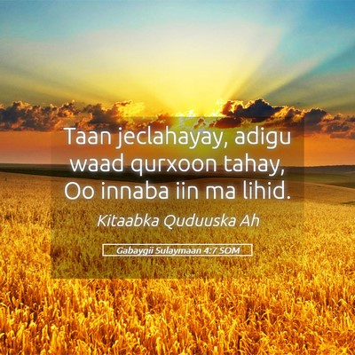 Picture 05 - Gabaygii Sulaymaan 4:7 SOM - Taan jeclahayay, adigu waad qurxoon tahay, Oo - Bible Verse Picture