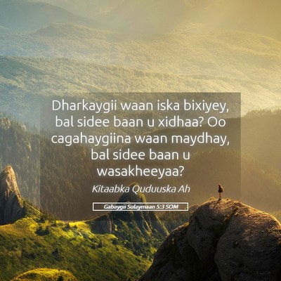 Picture 05 - Gabaygii Sulaymaan 5:3 SOM - Dharkaygii waan iska bixiyey, bal sidee baan u - Bible Verse Picture