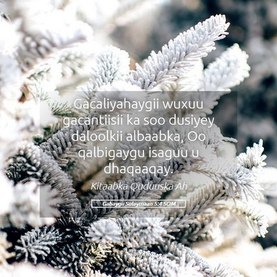 Picture 05 - Gabaygii Sulaymaan 5:4 SOM - Gacaliyahaygii wuxuu gacantiisii ka soo dusiyey - Bible Verse Picture