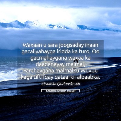Picture 05 - Gabaygii Sulaymaan 5:5 SOM - Waxaan u sara joogsaday inaan gacaliyahayga - Bible Verse Picture