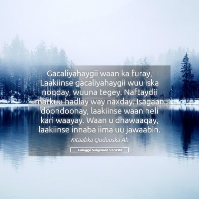 Picture 05 - Gabaygii Sulaymaan 5:6 SOM - Gacaliyahaygii waan ka furay, Laakiinse - Bible Verse Picture