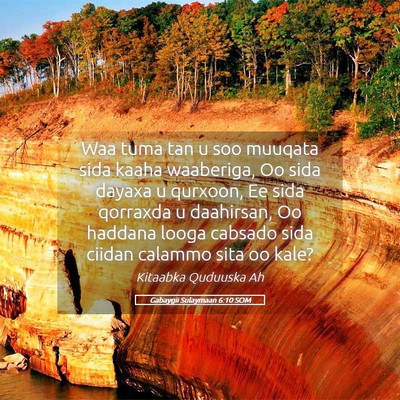Picture 05 - Gabaygii Sulaymaan 6:10 SOM - Waa tuma tan u soo muuqata sida kaaha waaberiga, - Bible Verse Picture