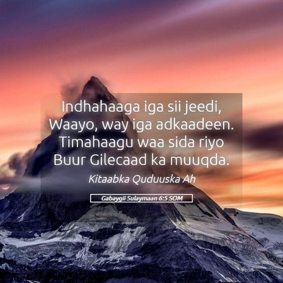 Picture 05 - Gabaygii Sulaymaan 6:5 SOM - Indhahaaga iga sii jeedi, Waayo, way iga - Bible Verse Picture