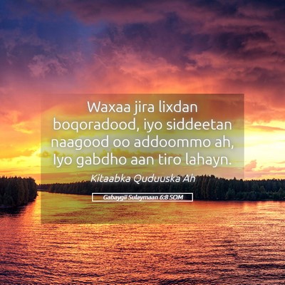 Picture 05 - Gabaygii Sulaymaan 6:8 SOM - Waxaa jira lixdan boqoradood, iyo siddeetan - Bible Verse Picture