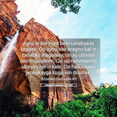 Picture 05 - Gabaygii Sulaymaan 7:12 SOM - Aynu aroor hore beercanabyada tagnee, Oo aynu soo - Bible Verse Picture