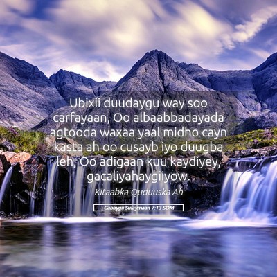 Picture 05 - Gabaygii Sulaymaan 7:13 SOM - Ubixii duudaygu way soo carfayaan, Oo - Bible Verse Picture