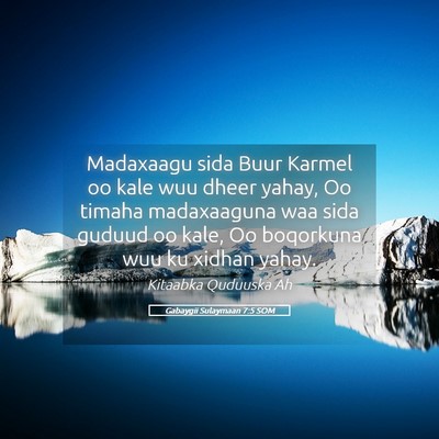 Picture 05 - Gabaygii Sulaymaan 7:5 SOM - Madaxaagu sida Buur Karmel oo kale wuu dheer - Bible Verse Picture