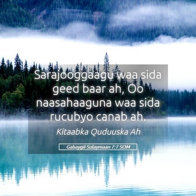 Picture 05 - Gabaygii Sulaymaan 7:7 SOM - Sarajooggaagu waa sida geed baar ah, Oo - Bible Verse Picture