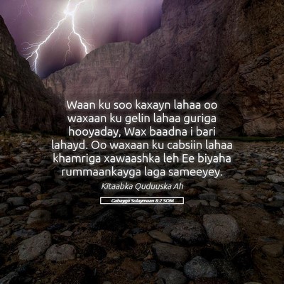 Picture 05 - Gabaygii Sulaymaan 8:2 SOM - Waan ku soo kaxayn lahaa oo waxaan ku gelin lahaa - Bible Verse Picture
