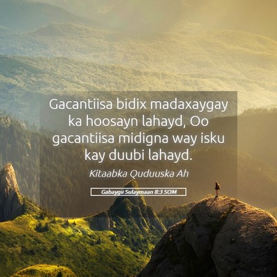 Picture 05 - Gabaygii Sulaymaan 8:3 SOM - Gacantiisa bidix madaxaygay ka hoosayn lahayd, Oo - Bible Verse Picture