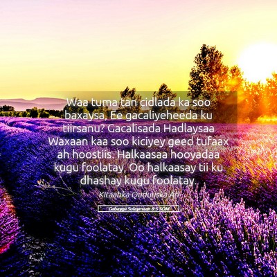 Picture 05 - Gabaygii Sulaymaan 8:5 SOM - Waa tuma tan cidlada ka soo baxaysa, Ee - Bible Verse Picture