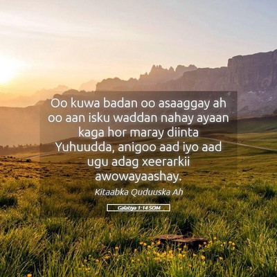 Picture 05 - Galatiya 1:14 SOM - Oo kuwa badan oo asaaggay ah oo aan isku waddan - Bible Verse Picture