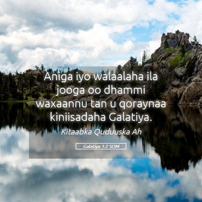 Picture 05 - Galatiya 1:2 SOM - Aniga iyo walaalaha ila jooga oo dhammi waxaannu - Bible Verse Picture