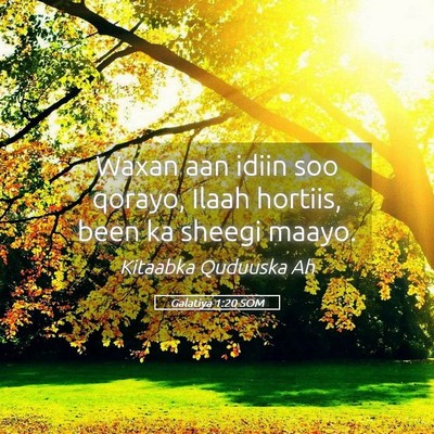 Picture 05 - Galatiya 1:20 SOM - Waxan aan idiin soo qorayo, Ilaah hortiis, been - Bible Verse Picture