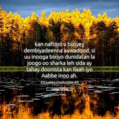 Picture 05 - Galatiya 1:4 SOM - kan naftiisii u bixiyey dembiyadeenna aawadood, - Bible Verse Picture
