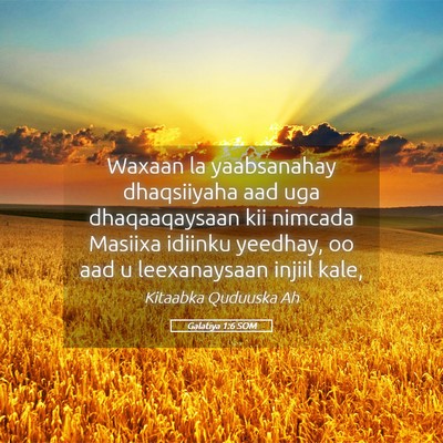 Picture 05 - Galatiya 1:6 SOM - Waxaan la yaabsanahay dhaqsiiyaha aad uga - Bible Verse Picture