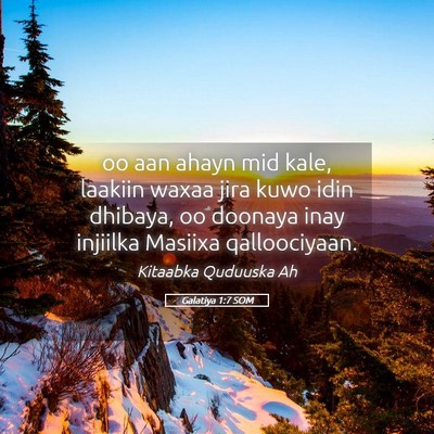 Picture 05 - Galatiya 1:7 SOM - oo aan ahayn mid kale, laakiin waxaa jira kuwo - Bible Verse Picture