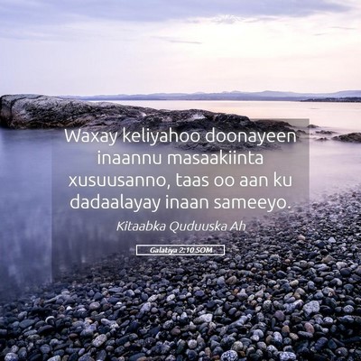 Picture 05 - Galatiya 2:10 SOM - Waxay keliyahoo doonayeen inaannu masaakiinta - Bible Verse Picture
