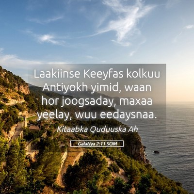 Picture 05 - Galatiya 2:11 SOM - Laakiinse Keeyfas kolkuu Antiyokh yimid, waan hor - Bible Verse Picture