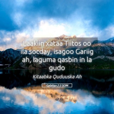 Picture 05 - Galatiya 2:3 SOM - Laakiin xataa Tiitos oo ila socday, isagoo Gariig - Bible Verse Picture