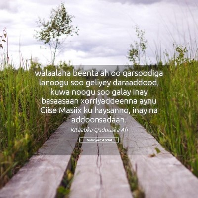 Picture 05 - Galatiya 2:4 SOM - walaalaha beenta ah oo qarsoodiga lanoogu soo - Bible Verse Picture
