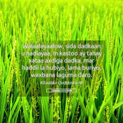 Picture 05 - Galatiya 3:15 SOM - Walaalayaalow, sida dadkaan u hadlayaa, In kastoo - Bible Verse Picture