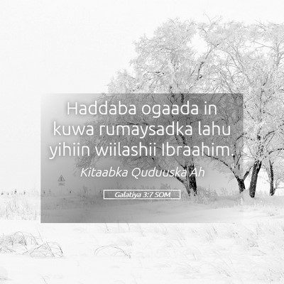 Picture 05 - Galatiya 3:7 SOM - Haddaba ogaada in kuwa rumaysadka lahu yihiin - Bible Verse Picture