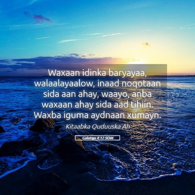 Picture 05 - Galatiya 4:12 SOM - Waxaan idinka baryayaa, walaalayaalow, inaad - Bible Verse Picture