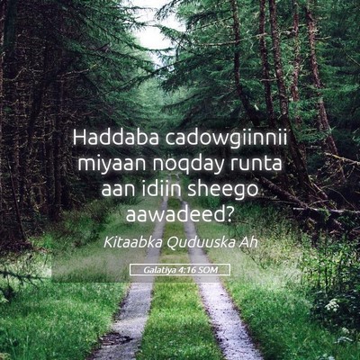 Picture 05 - Galatiya 4:16 SOM - Haddaba cadowgiinnii miyaan noqday runta aan - Bible Verse Picture