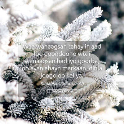 Picture 05 - Galatiya 4:18 SOM - Waa wanaagsan tahay in aad loo doondoono wixii - Bible Verse Picture