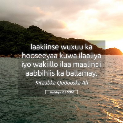 Picture 05 - Galatiya 4:2 SOM - laakiinse wuxuu ka hooseeyaa kuwa ilaaliya iyo - Bible Verse Picture